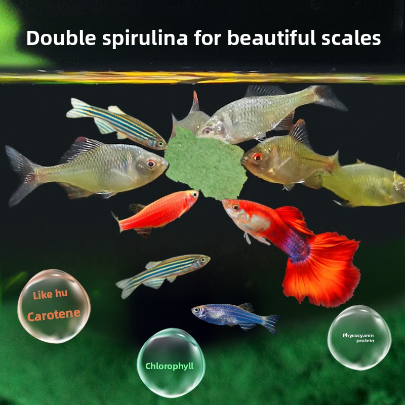 DEERA Tropical Fish Flakes, Un - Tetra Food Tropical Flakes review and price