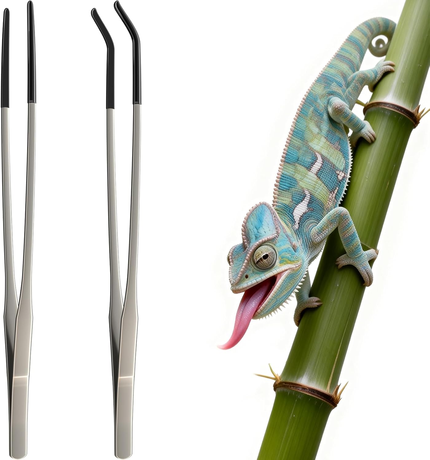 2 Pcs Extra Long Stainless Ste - Feeding Tong Stainless review and price
