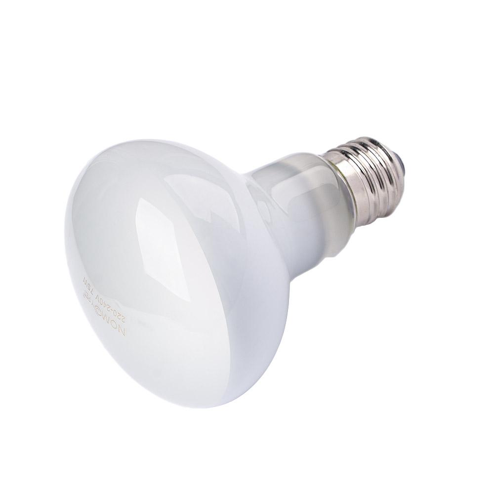 Turtle Heater Temperature Cont - Basking Bulb Halogen review and price